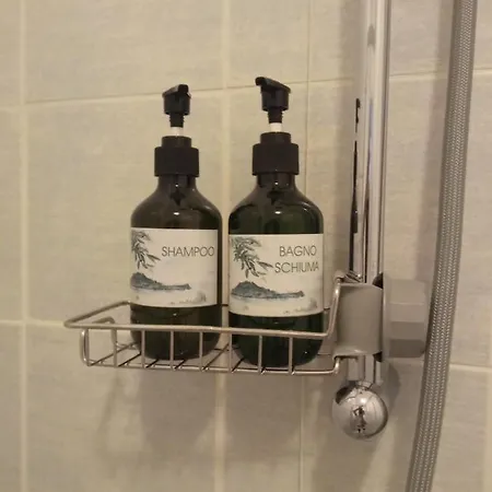 Mare アラッシオ